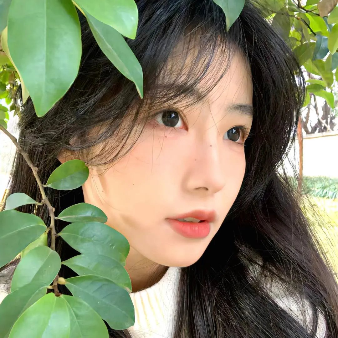与森林共舞